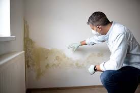 Best Comprehensive Air Testing for Mold Contaminants  in Ara, AL